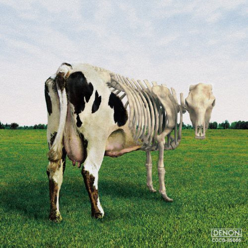 Morgaua Quartet: Atom Heart Mother Is on the Edge { CD }