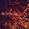 Ken Stringfellow: I Never Said I D Make It Easy - COMPACT DISCS