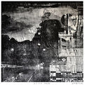 Zaquoir: Asino Sardo [ Vinyl ]