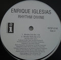 Enrique Iglesias: Rhythm Divine - 12-INCH SINGLE