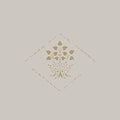 Elephant Micah: Where in Our Woods { CD }