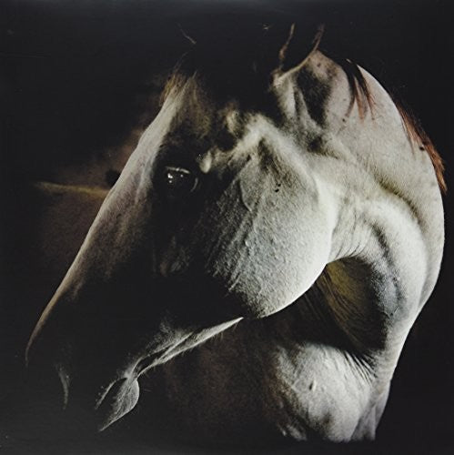 Brother Dege: How to Kill a Horse [ Vinyl ]