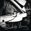 Buddy Guy: Born To Play Guitar - COMPACT DISCS