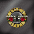 Guns N' Roses - Greatest Hits - LP [ Record ]
