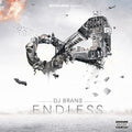 DJ Brans: Endless [ Vinyl ]