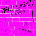 David Lindley: El Rayo Live (2016 reissue) - CD
