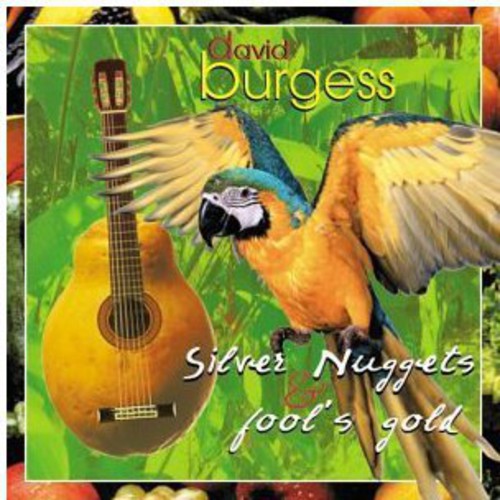 David Burgess: Silver Nuggets & Fool's Gold { CD }