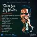 Various Artists: Blues For Big Walter (Various Artists) - COMPACT DISCS