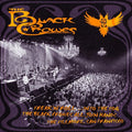 The Black Crowes: Into The Fog - CD