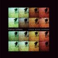 Kathryn Williams: Little Black Numbers [ Vinyl ]