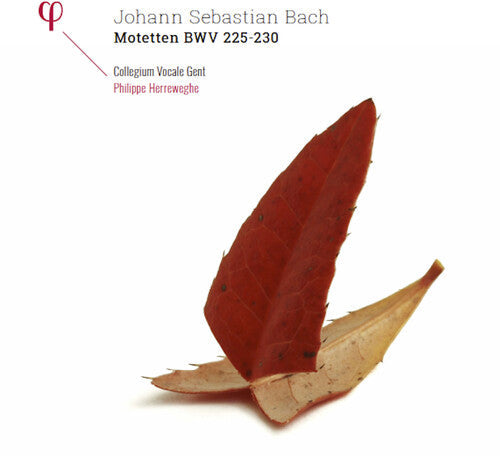 Bach, J.S. / Collegium Vocale Gent / Herreweghe: Johann Sebastian Bach: Motetten BWV 225-230 [ Vinyl ]