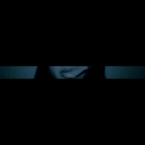 Pessimist: Pessimist { CD }