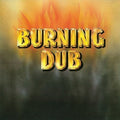 Revolutionaries: Burning Dub - VINYL