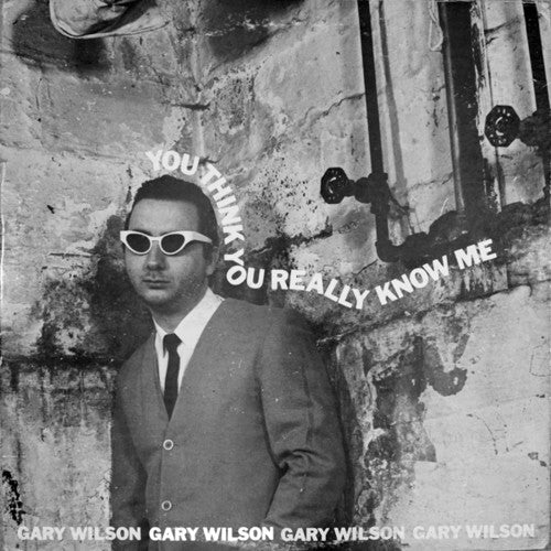 Gary Wilson: You Think You Really Know Me - VINYL
