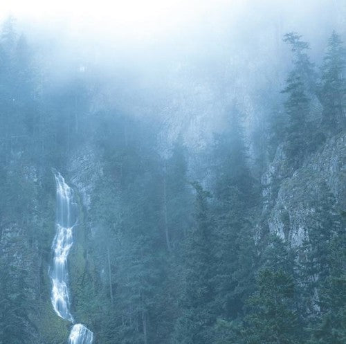 Wolves in the Throne Room: Diadem Of 12 Stars - VINYL
