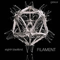 Dessner / Eighth Blackbird: Filament [ Vinyl ]