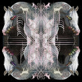 Eartheater: RIP Chrysalis { CD }