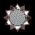Black Hat: Thought Of Two [ Vinyl ]
