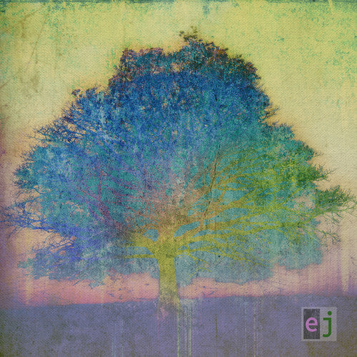 Eric Johnson: EJ - COMPACT DISCS