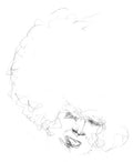 Will Long: Sallow / Pine [ Vinyl ]