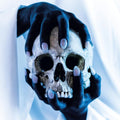 Gost: Possessor - COMPACT DISCS