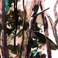Hop Along: Bark Your Head Off Dog - VINYL