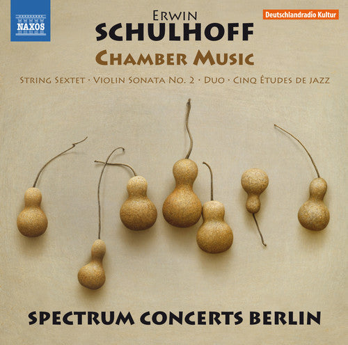 Schulhoff / Brovtsyn / Sokolov: Erwin Schulhoff: Chamber Music { CD }