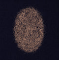 Eli Keszler: Last Signs Of Speed - 12-INCH SINGLE
