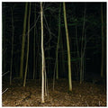 Express Rising: Fixed Rope Ii [ Vinyl ]