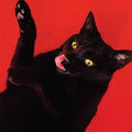 Ryan Adams - Big Colors - LP [ Record ]