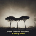 Peter Erskine New Trio: In Praise Of Shadows - CD