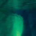 Grosse, Katharina / Schneider, Stefan: Tiergarten [ Vinyl ]