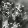 Jacaszek: KWIATY [ Vinyl ]