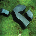 Camila Fuchs: Heart Pressed Between Stones [ Vinyl ]
