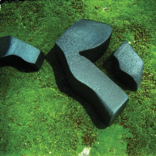 Camila Fuchs: Heart Pressed Between Stones [ Vinyl ]