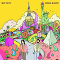 Deaf Poets: Change & Bloom - VINYL