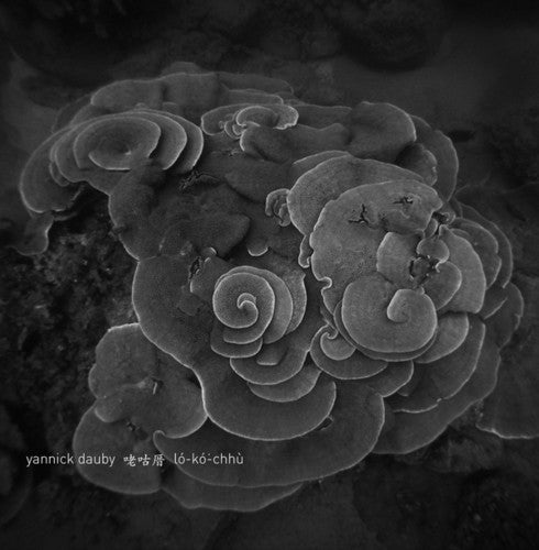 Yannick Dauby: Penghu Experimental Sound Studio 2 [ Vinyl ]