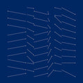 Scald Rougish: Idioal Oifrmech [ Vinyl ]