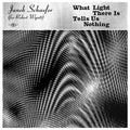 Janek Schaefer: What Light There Is Tells Us Nothing [ Vinyl ]