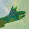 Native Instrument: Camo [ Vinyl ]