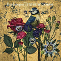 Steve Wickham: Beekeeper [ Vinyl ]