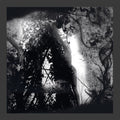 Pisetzky: Tears Of A Rough Machine - 12-INCH SINGLE