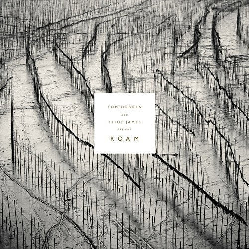 Tom Hobden: Present: Roam [ Vinyl ]