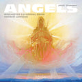 Winchester Cathedral Choir: Tavener: Angels { CD }