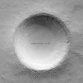 Robot Koch: Fluid - 12-INCH SINGLE