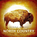 Burns, Danny: North Country [ Vinyl ]
