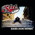 Sat L'Artificier: Dans Mon Monde [ Vinyl ]