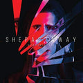 She Past Away: Disko Anksiyete - VINYL