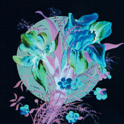 Hannu Karjalainen: Handful Of Dust Is A Desert [ Vinyl ]