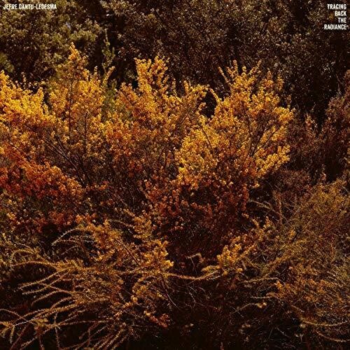 Jefre Cantu-Ledesma: Tracing Back The Radiance [ Vinyl ]